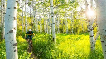 野外种草小贴士！