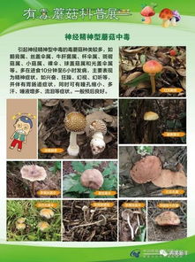 除草剂与鹅肉的关联