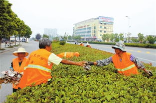 绿化后期养护管理， 工人管理是关键