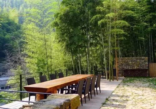 南方庭院积水区植物的选择：与自然和谐共处