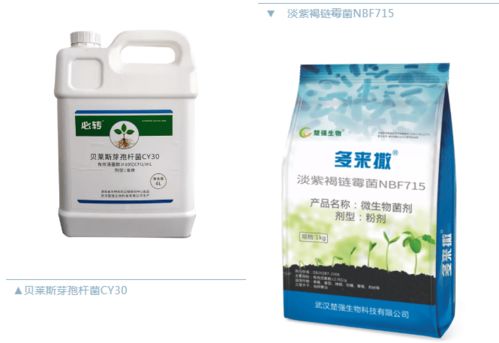 鸡蛋大揭秘：华研生物农药、 华研农业科技有限公司生产鸡蛋的平安性探讨