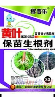 喷洒草甘膦，要注意啥？