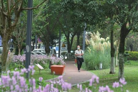 一、植物搭配，就像好朋友一样