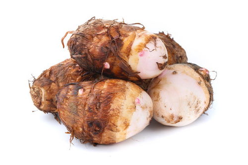 芋艿：块茎非直根系，揭秘芋头生长之谜！