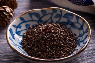 橡树种子泡水小常识