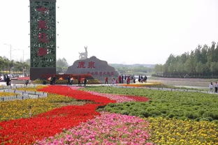 四季有花， 美不胜收