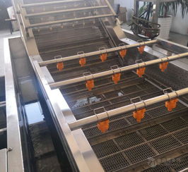 土豆加工项目涉及切片机、清洗机等设备