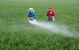 常见农药，农民朋友要了解