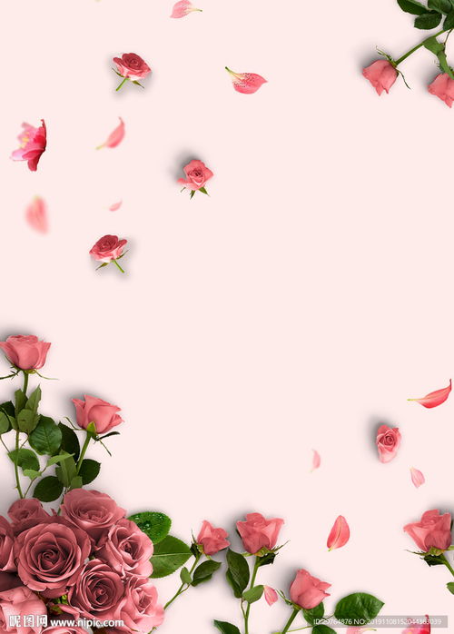 拍七夕玫瑰花，如何构图浪漫唯美