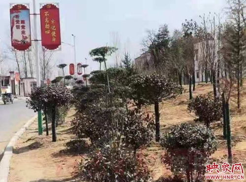 岗李乡：生态立乡， 绿色崛起