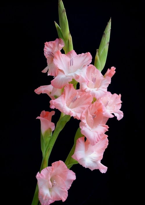 土壤， 得像妈妈的手一样温暖