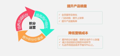 金浩茶油加盟指南：轻松加盟，条件全解析！
