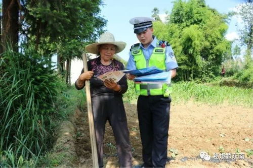 夏季农活具体要忙些什么？新手如何快速掌握田间生存技巧？