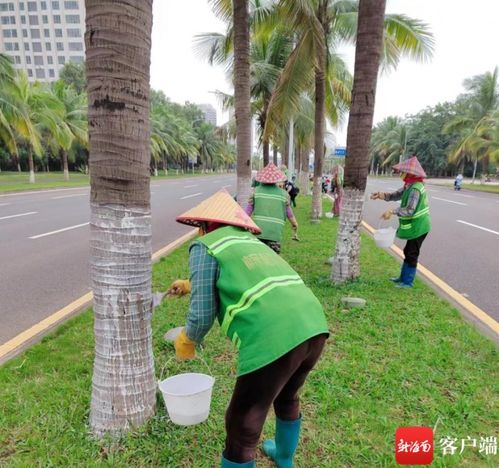 树木穿上白外套，不仅仅是为了美