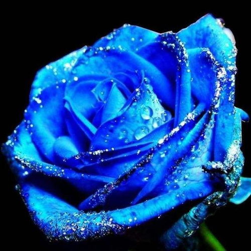 价格背后的故事