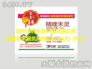 韭菜田专用除草剂盘点，解决杂草困扰的妙招！