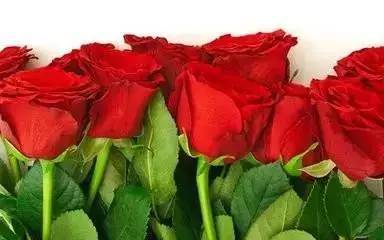 土壤，那可是根基