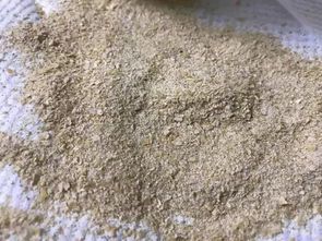 发酵麸皮功效究竟多神奇？在饲料应用中能发挥哪些作用