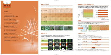 恶唑酰草胺：如何发挥作用？