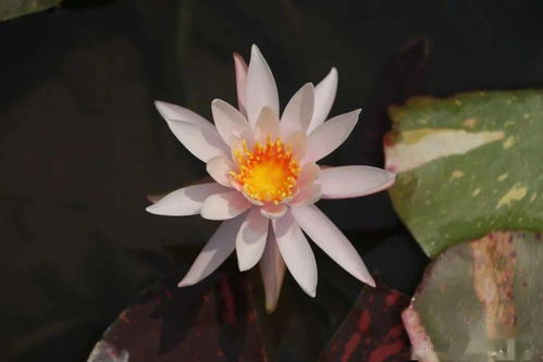 养护，就像照顾宝宝一样细心