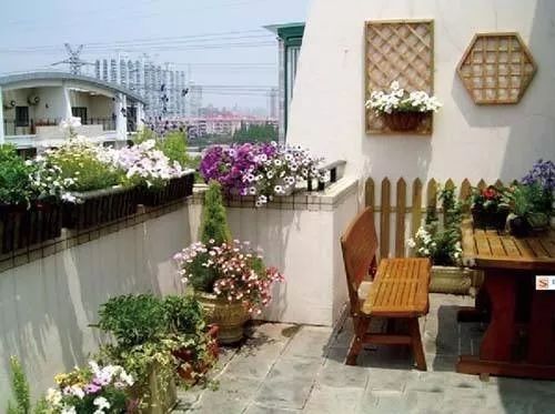 家庭养花入门指南：新手如何挑选花卉打造阳台花园