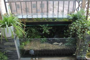 适合冬天室外养的花卉