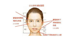 方脸的Bobo头魔法：软化棱角的艺术