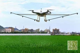 山东农用无人机喷洒农药，效率超高，是人工作业效率的几十倍！