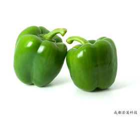 青椒：香辣可口， 丰富菜品口味