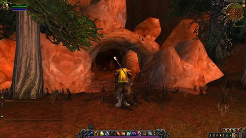 山芙蓉：林间的小清新