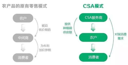 农业循环水系统：如何确保水质安全，避免健康风险？