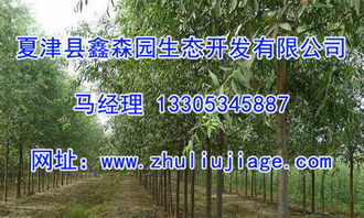 优秀苗木交易平台， 推动行业发展