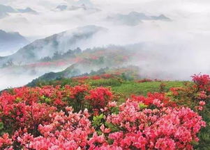 特色美食，舌尖上的春日盛宴