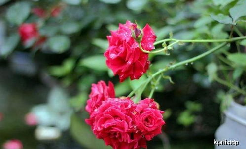 价格， 价格，重要的事情说三遍