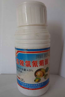 果园虫害反复发作，用高效氯氟氰菊酯如何省30%成本？