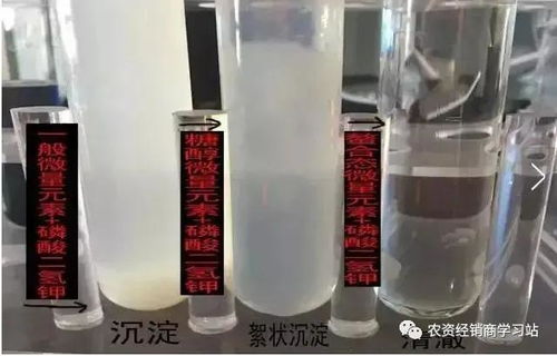 碧护与磷酸二氢钾的混用：双重功效