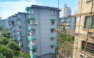 绿化改过那些事儿