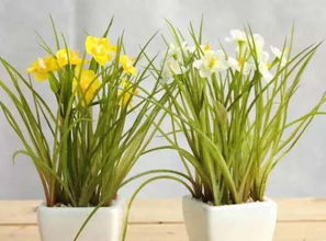 防晒遮阴不嫩少