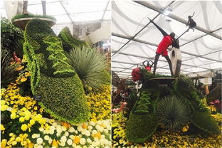 花展盛宴， 揭秘特色参展商背后的生态产业链