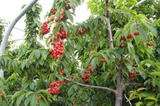 别人家的种子怎么就那么快发芽呢？