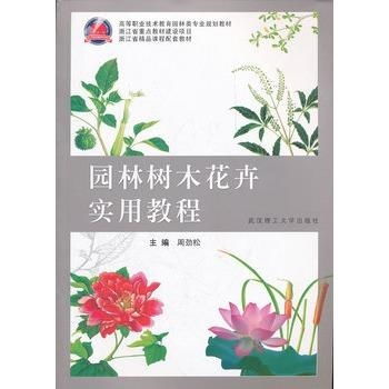 分类依据与应用