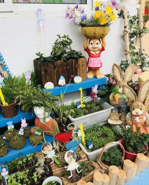 避开凶险， 选择平安与美观并存的植物