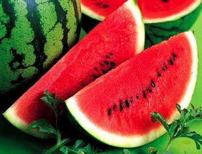 病害来了 得赶紧对付