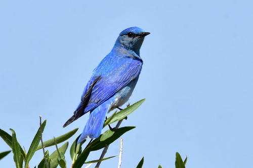 别称连连， 情意满满