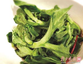 非洲冰草怎么种植？简单几步教你轻松种出冰爽蔬菜