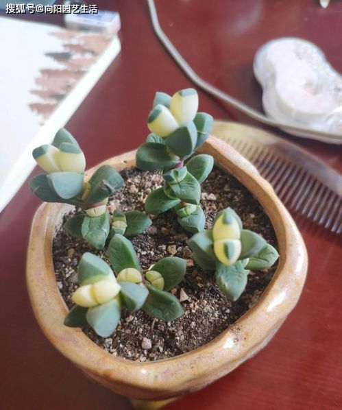 各种猜测，心情好沉重