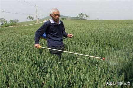 硫磺多菌灵在花卉上使用安全吗？能否提高肥料价值？