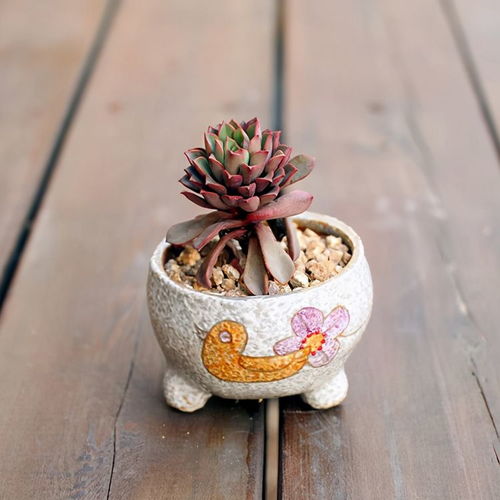 通风和温度， 健康的生长伴侣