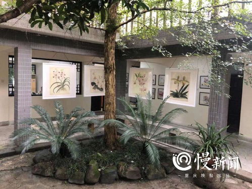 环保意识，深入人心