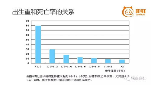 高产母猪弱仔率攀升，深层成因与调控策略是什么？